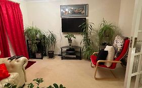 Cozy Homestay